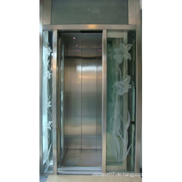 Fjzy-Hohe Qualität und Sicherheit Home Lift Fjs-1615